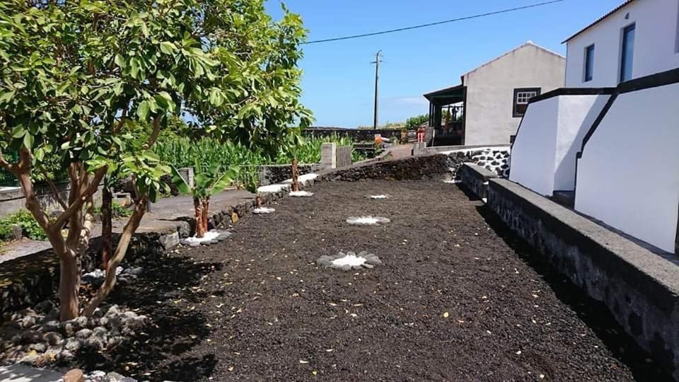 Azores Black Mountain House, Estudio E T2 Ilha Do Pico São Roque do Pico Eksteriør bilde